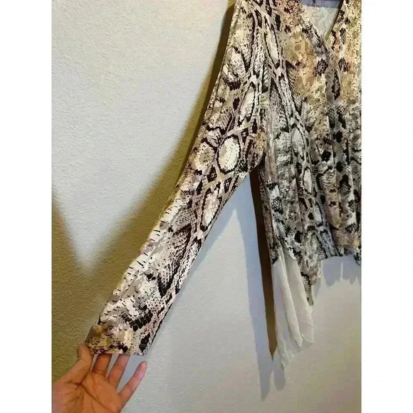 Laurie Felt Womens 1X Snake Print Long Sleeve V-Neck Tunic Blouse Assymetrical‎ - Picture 3 of 10